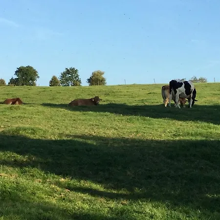 Vakantiewoning Kleijnen 度假居