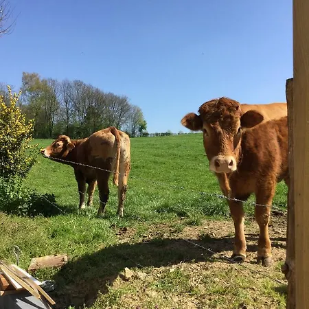 Vakantiewoning Kleijnen * 诺尔贝克