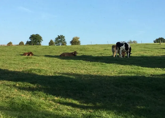 Vakantiewoning Kleijnen Дом отдыха