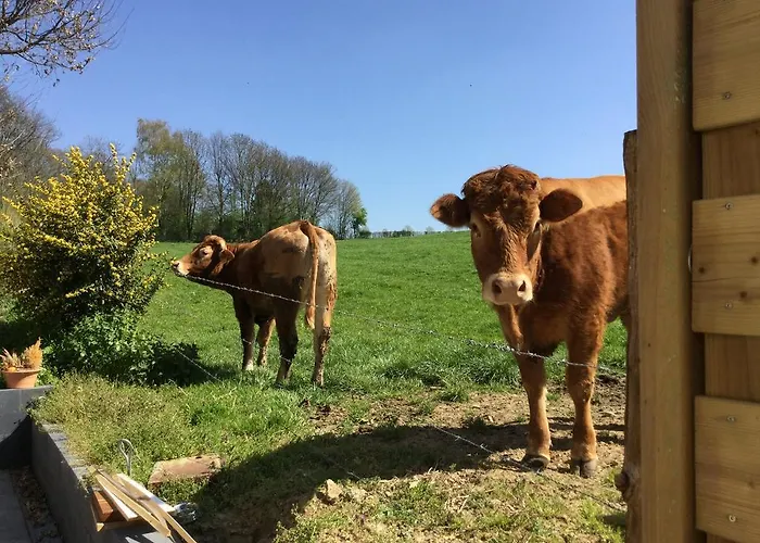 Vakantiewoning Kleijnen * 누르빅